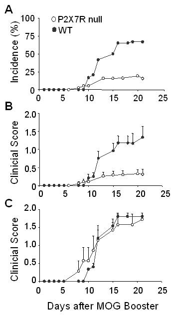 https://cdn.ncbi.nlm.nih.gov/pmc/blobs/375c/2518548/a99743d1811c/1742-2094-5-33-1.jpg