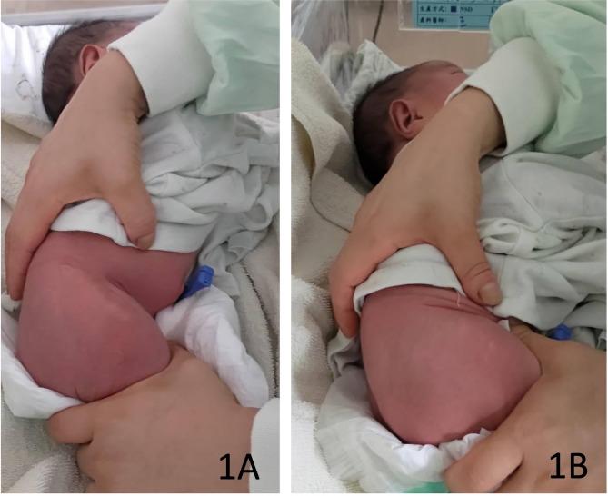 https://cdn.ncbi.nlm.nih.gov/pmc/blobs/375d/12135215/1d43ec68d010/12891_2025_8740_Fig1_HTML.jpg
