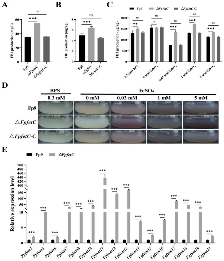 https://cdn.ncbi.nlm.nih.gov/pmc/blobs/375e/11988320/7c841e360572/ijms-26-02883-g006.jpg