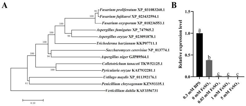 https://cdn.ncbi.nlm.nih.gov/pmc/blobs/375e/11988320/bfeaa46a5d6c/ijms-26-02883-g001.jpg
