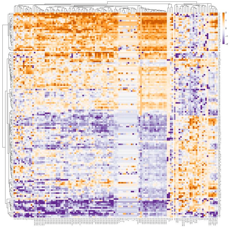 https://cdn.ncbi.nlm.nih.gov/pmc/blobs/375e/12250270/d848aa8b194e/ijms-26-06260-g002.jpg