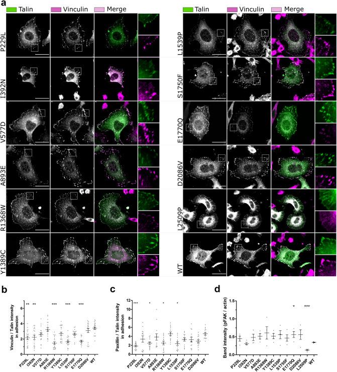 https://cdn.ncbi.nlm.nih.gov/pmc/blobs/3761/7801617/251c096d651d/41598_2020_77911_Fig4_HTML.jpg