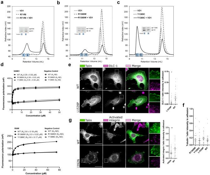 https://cdn.ncbi.nlm.nih.gov/pmc/blobs/3761/7801617/fddf31a11637/41598_2020_77911_Fig6_HTML.jpg
