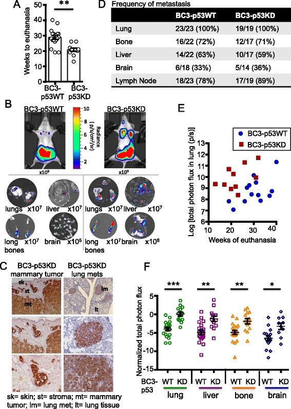 https://cdn.ncbi.nlm.nih.gov/pmc/blobs/3762/4728775/474ab0c3b488/13058_2016_673_Fig2_HTML.jpg