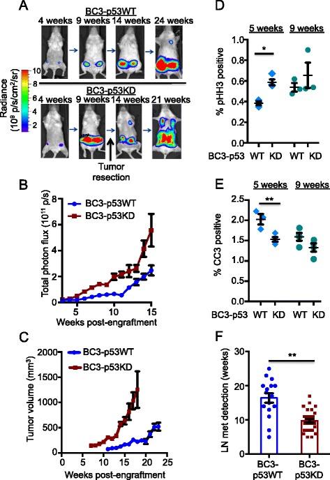 https://cdn.ncbi.nlm.nih.gov/pmc/blobs/3762/4728775/a03b74699355/13058_2016_673_Fig1_HTML.jpg