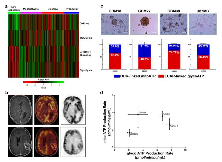 https://cdn.ncbi.nlm.nih.gov/pmc/blobs/3763/7922554/714e1c1e2a15/cells-10-00202-g001.jpg
