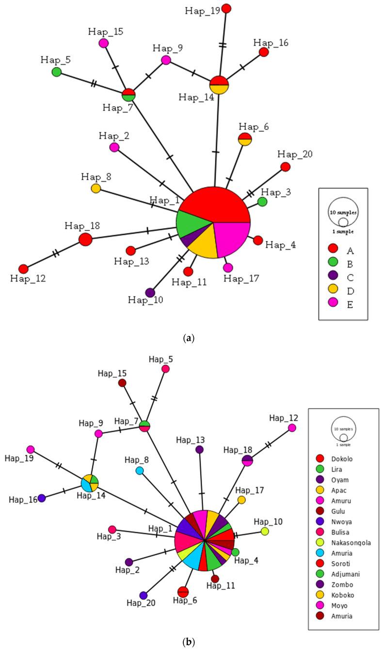 https://cdn.ncbi.nlm.nih.gov/pmc/blobs/3763/9225125/1c9606cc242a/insects-13-00543-g003.jpg
