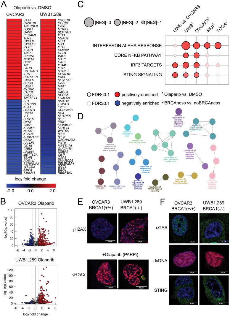 https://cdn.ncbi.nlm.nih.gov/pmc/blobs/3764/11634877/e37c38029a54/fimmu-15-1489235-g003.jpg