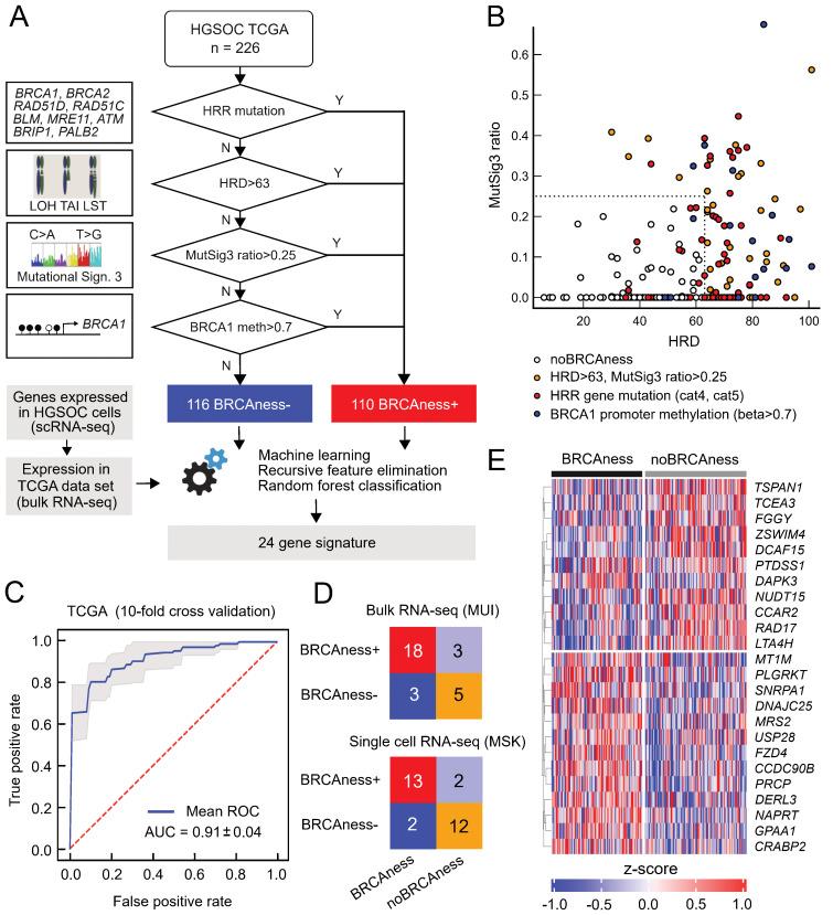 https://cdn.ncbi.nlm.nih.gov/pmc/blobs/3764/11634877/e433b674b013/fimmu-15-1489235-g001.jpg
