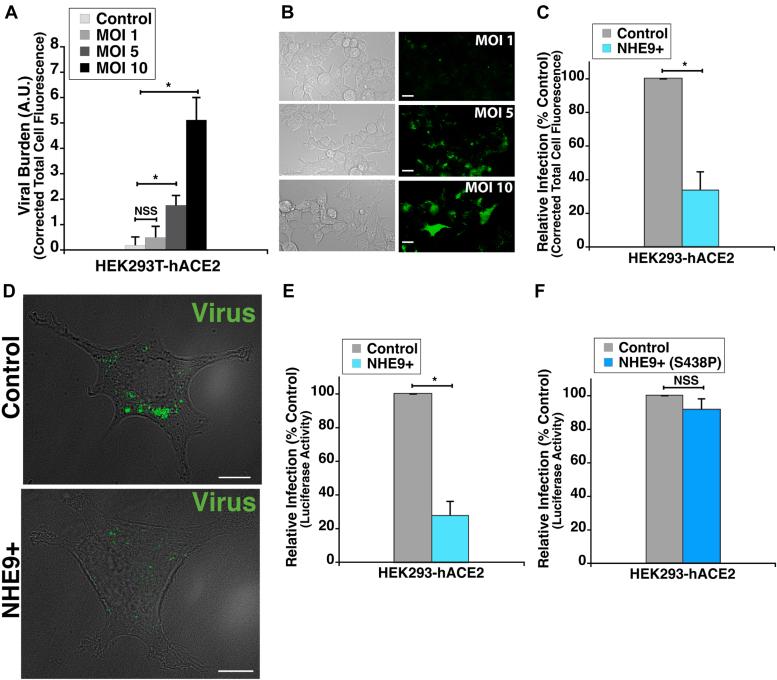 https://cdn.ncbi.nlm.nih.gov/pmc/blobs/3764/11815683/5515bee9089a/gr5.jpg