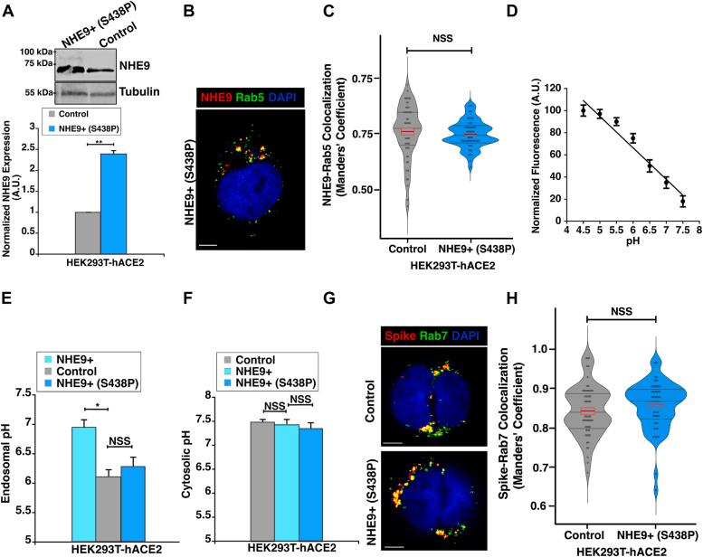 https://cdn.ncbi.nlm.nih.gov/pmc/blobs/3764/11815683/bedbafd9ba50/gr2.jpg