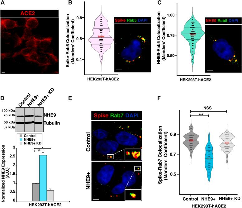 https://cdn.ncbi.nlm.nih.gov/pmc/blobs/3764/11815683/c76f1e098a0c/gr1.jpg