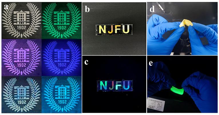 https://cdn.ncbi.nlm.nih.gov/pmc/blobs/3765/11174623/e5f75a15a346/polymers-16-01568-g007.jpg