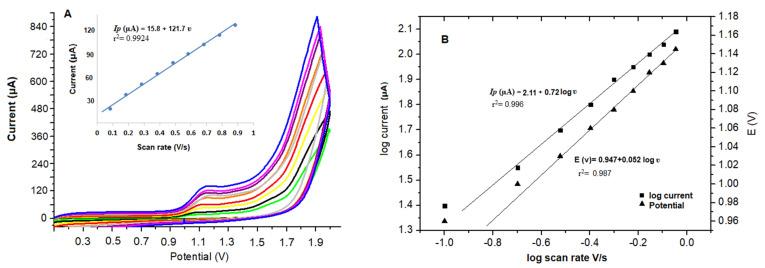 https://cdn.ncbi.nlm.nih.gov/pmc/blobs/3765/9954130/bf5ac494a691/biosensors-13-00243-g003.jpg