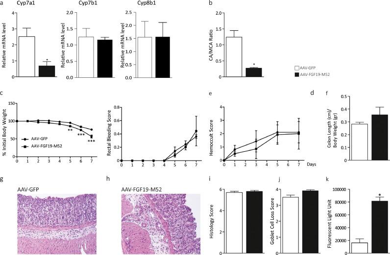 https://cdn.ncbi.nlm.nih.gov/pmc/blobs/3766/7136604/3b8982624b95/gr4.jpg
