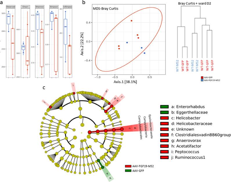 https://cdn.ncbi.nlm.nih.gov/pmc/blobs/3766/7136604/b6bb58251e62/gr6.jpg