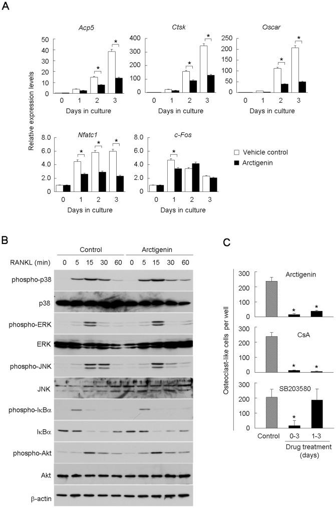 https://cdn.ncbi.nlm.nih.gov/pmc/blobs/3768/3895012/318b2263d449/pone.0085878.g002.jpg