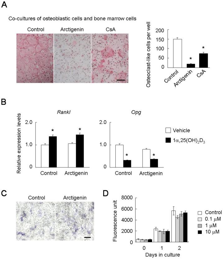 https://cdn.ncbi.nlm.nih.gov/pmc/blobs/3768/3895012/335fbafe6879/pone.0085878.g005.jpg