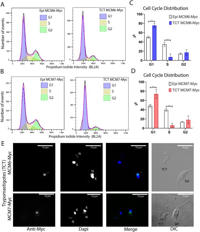 https://cdn.ncbi.nlm.nih.gov/pmc/blobs/376c/12146363/bbddb0444ff9/fcimb-15-1584812-g008.jpg