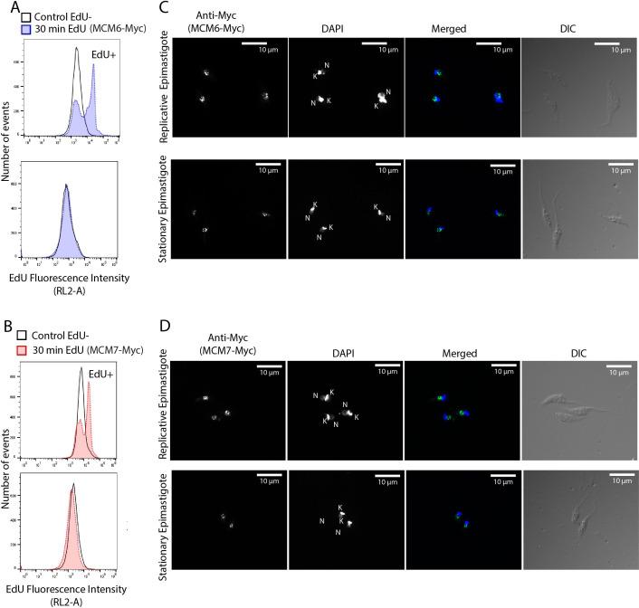 https://cdn.ncbi.nlm.nih.gov/pmc/blobs/376c/12146363/d3aabfdf87f2/fcimb-15-1584812-g006.jpg