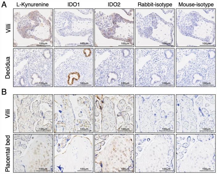 https://cdn.ncbi.nlm.nih.gov/pmc/blobs/3772/7780199/d9b5b09bcf50/10.1177_1178646920984163-fig2.jpg