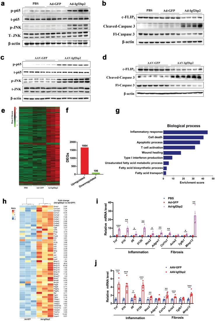 https://cdn.ncbi.nlm.nih.gov/pmc/blobs/3773/11749640/4aecaadd81ee/loac006_fig6.jpg