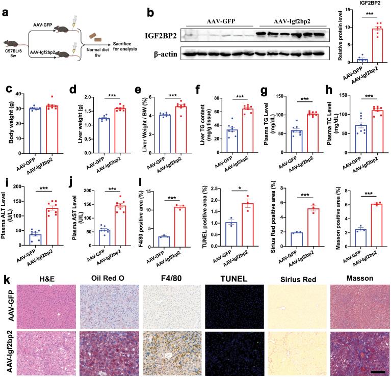 https://cdn.ncbi.nlm.nih.gov/pmc/blobs/3773/11749640/68c62edab329/loac006_fig5.jpg