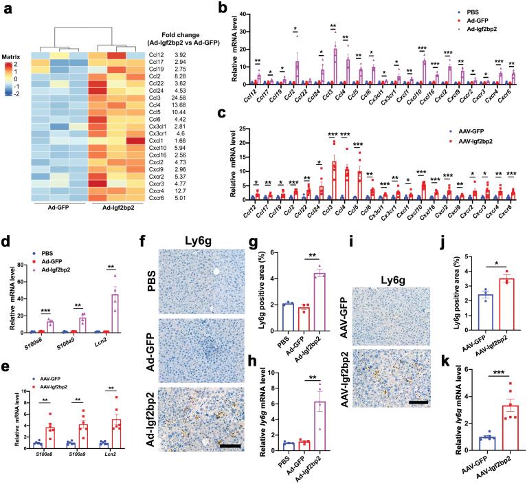 https://cdn.ncbi.nlm.nih.gov/pmc/blobs/3773/11749640/861d92068c69/loac006_fig7.jpg