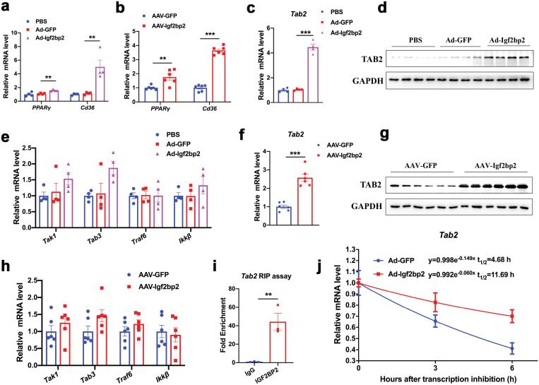 https://cdn.ncbi.nlm.nih.gov/pmc/blobs/3773/11749640/8b2ae8550219/loac006_fig8.jpg