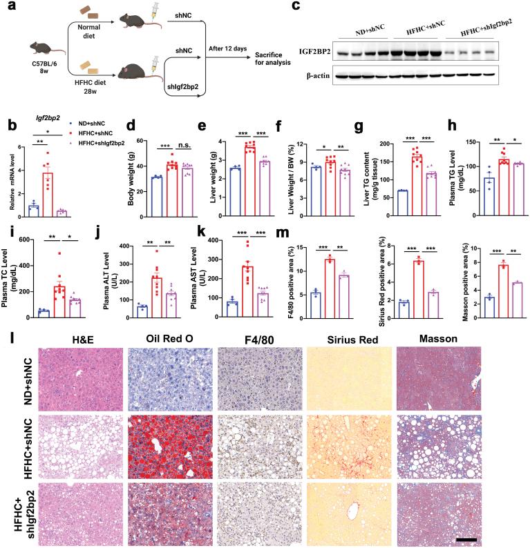 https://cdn.ncbi.nlm.nih.gov/pmc/blobs/3773/11749640/a205a8956abb/loac006_fig3.jpg