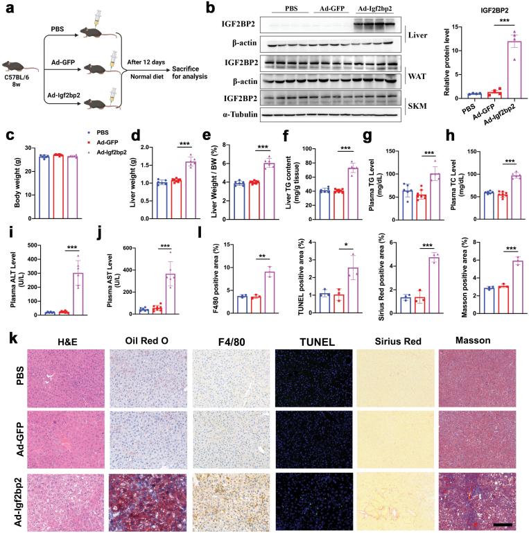 https://cdn.ncbi.nlm.nih.gov/pmc/blobs/3773/11749640/ca4c819c2c45/loac006_fig4.jpg