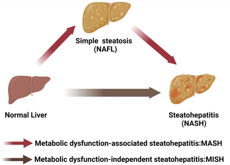 https://cdn.ncbi.nlm.nih.gov/pmc/blobs/3773/11749640/f70aaa695478/loac006_fig9.jpg