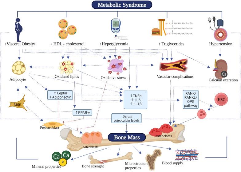 https://cdn.ncbi.nlm.nih.gov/pmc/blobs/3777/11378428/219a39012e72/13098_2024_1440_Fig1_HTML.jpg