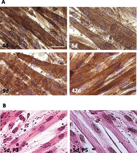 https://cdn.ncbi.nlm.nih.gov/pmc/blobs/3778/4574010/7dbc2a0c3d08/12860_2015_69_Fig3_HTML.jpg