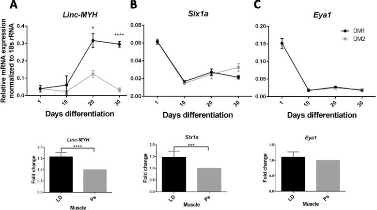 https://cdn.ncbi.nlm.nih.gov/pmc/blobs/3778/4574010/a6267a357acd/12860_2015_69_Fig5_HTML.jpg