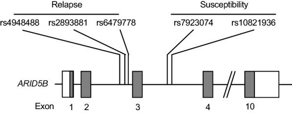 https://cdn.ncbi.nlm.nih.gov/pmc/blobs/3779/7839197/73d5ede71a33/12935_2020_1524_Fig1_HTML.jpg