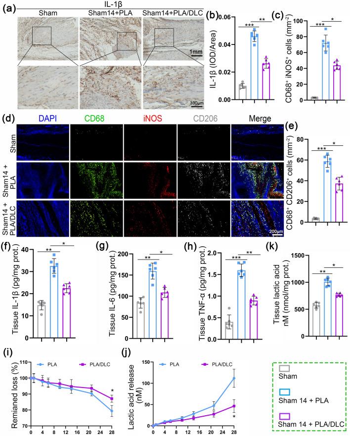 https://cdn.ncbi.nlm.nih.gov/pmc/blobs/377a/11061095/588267903775/40820_2024_1392_Fig6_HTML.jpg