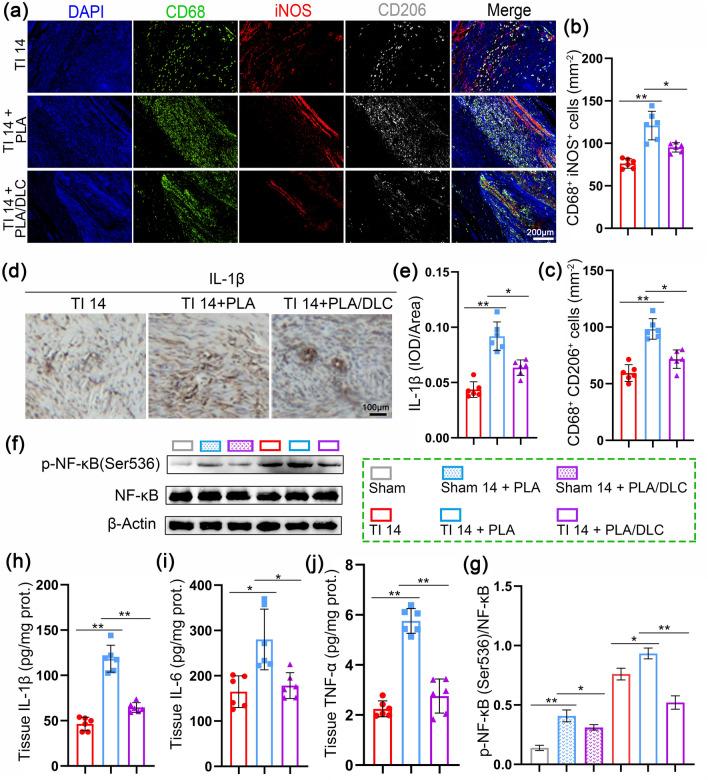 https://cdn.ncbi.nlm.nih.gov/pmc/blobs/377a/11061095/626b53928075/40820_2024_1392_Fig7_HTML.jpg
