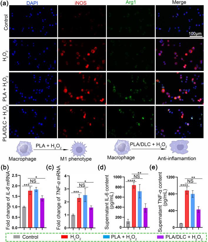 https://cdn.ncbi.nlm.nih.gov/pmc/blobs/377a/11061095/803ec2d94217/40820_2024_1392_Fig4_HTML.jpg