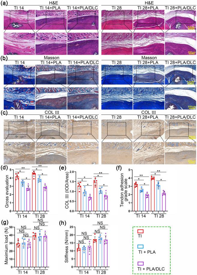 https://cdn.ncbi.nlm.nih.gov/pmc/blobs/377a/11061095/fe576e2b4386/40820_2024_1392_Fig8_HTML.jpg