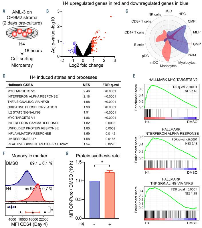 https://cdn.ncbi.nlm.nih.gov/pmc/blobs/377b/8485661/280716c13e5d/1062566.fig3.jpg