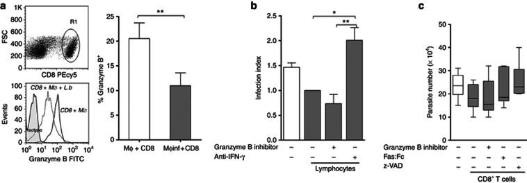 https://cdn.ncbi.nlm.nih.gov/pmc/blobs/377d/3667352/a1402b371100/jid20134f4.jpg