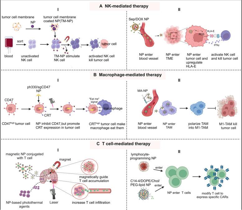 https://cdn.ncbi.nlm.nih.gov/pmc/blobs/377e/11297660/616840dde7e6/40364_2024_625_Fig5_HTML.jpg