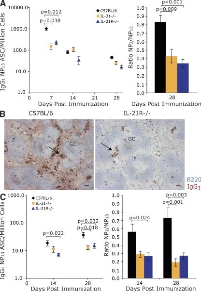 https://cdn.ncbi.nlm.nih.gov/pmc/blobs/3784/2822601/1c26317b48a1/JEM_20091777_RGB_Fig1.jpg