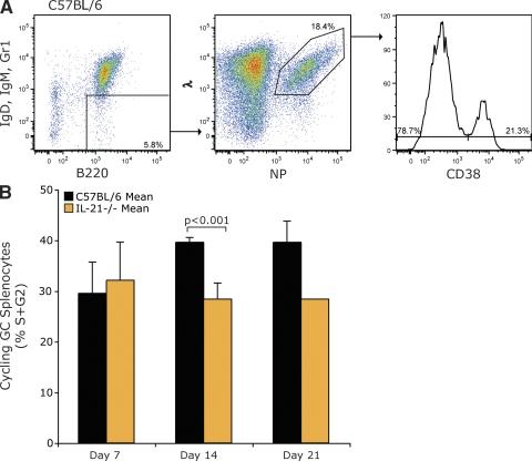 https://cdn.ncbi.nlm.nih.gov/pmc/blobs/3784/2822601/37c86d85b893/JEM_20091777_RGB_Fig6.jpg