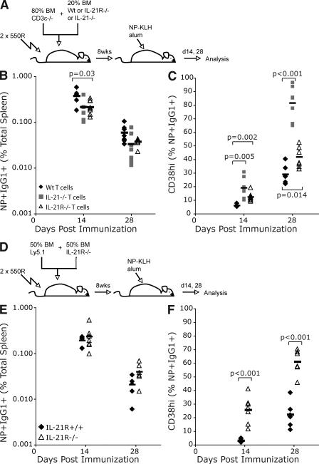 https://cdn.ncbi.nlm.nih.gov/pmc/blobs/3784/2822601/c9b51479d50c/JEM_20091777_GS_Fig5.jpg