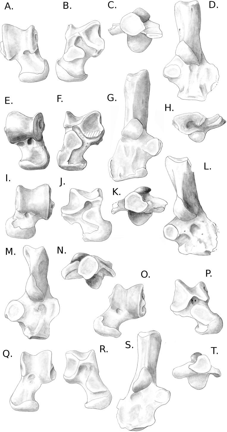 https://cdn.ncbi.nlm.nih.gov/pmc/blobs/3784/5068370/54b5ed7befa2/peerj-04-2393-g008.jpg