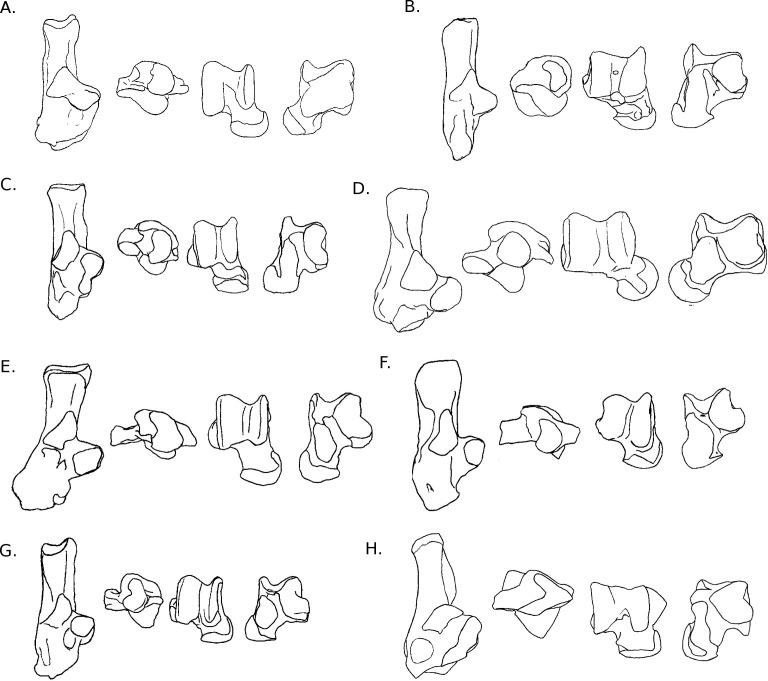 https://cdn.ncbi.nlm.nih.gov/pmc/blobs/3784/5068370/a14f82840899/peerj-04-2393-g005.jpg
