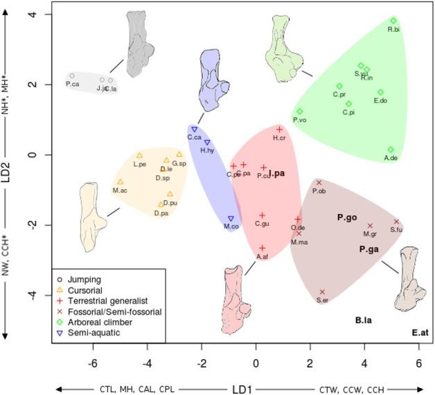 https://cdn.ncbi.nlm.nih.gov/pmc/blobs/3784/5068370/e8bda0764711/peerj-04-2393-g007.jpg