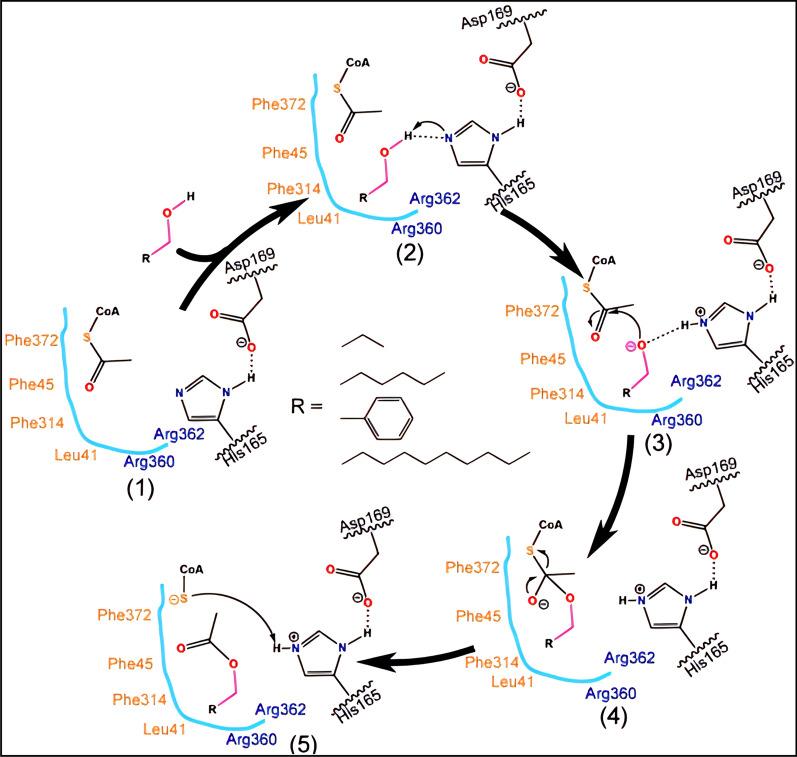 https://cdn.ncbi.nlm.nih.gov/pmc/blobs/3787/10236719/68dfa6450831/13068_2023_2343_Fig4_HTML.jpg